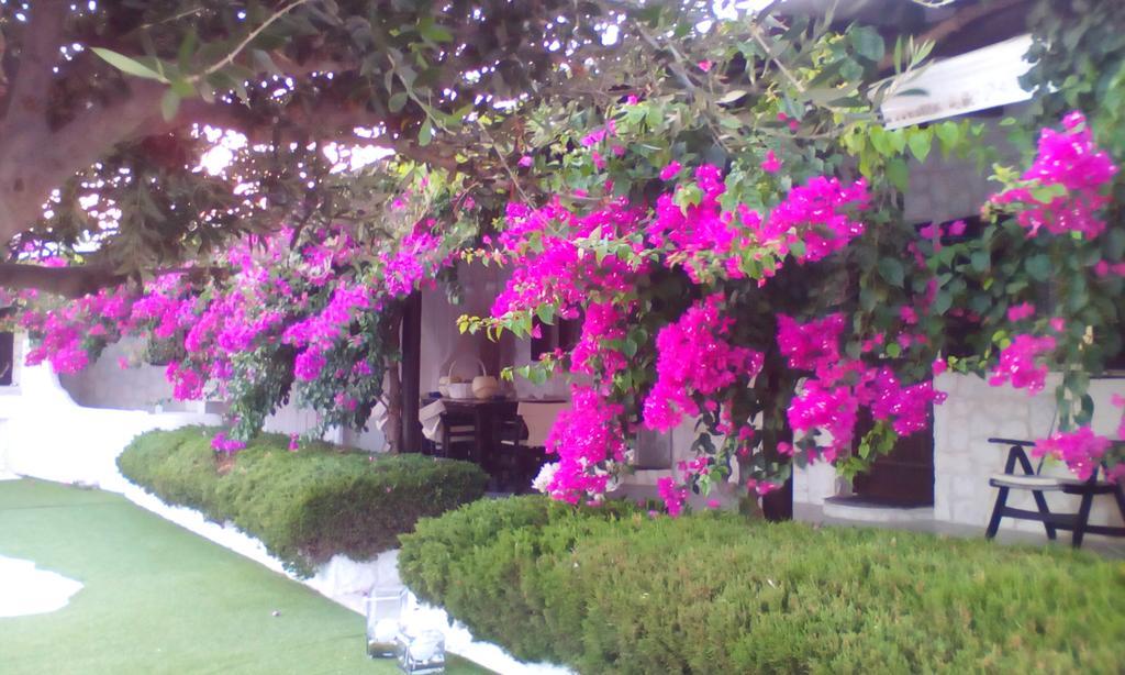 הוילה Mykonos Town Hidden Heaven מראה חיצוני תמונה